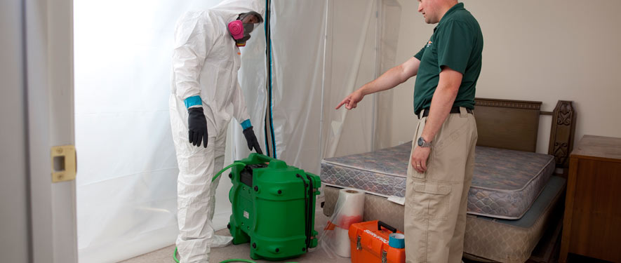 West York, PA mold removal process